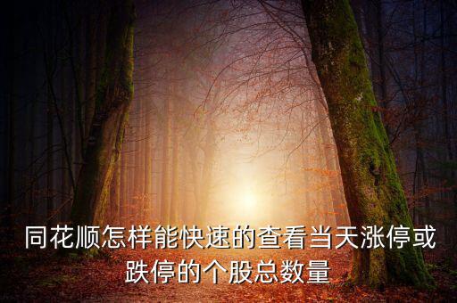  同花順怎樣能快速的查看當(dāng)天漲?；虻５膫€股總數(shù)量