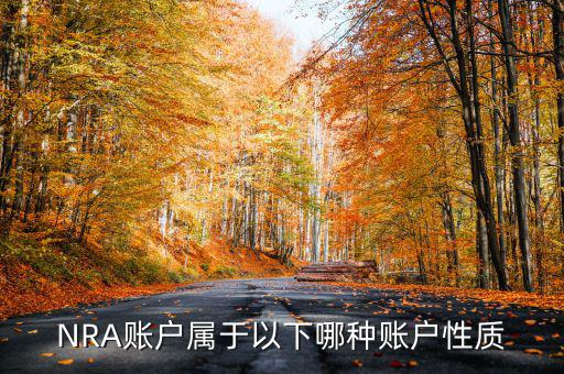 NRA賬戶(hù)屬于以下哪種賬戶(hù)性質(zhì)