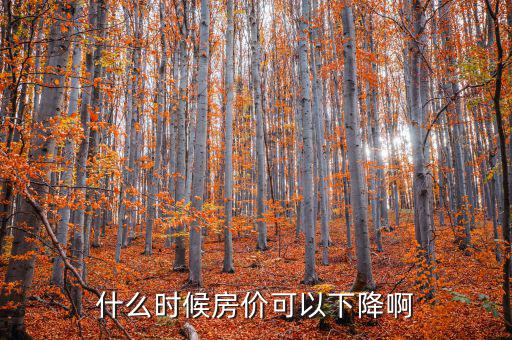 什么時(shí)候房價(jià)可以下降啊