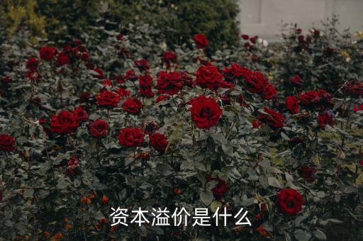 什么是溢價(jià)，什么是資本溢價(jià)