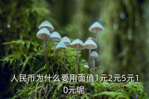 為什么人民幣面值，人民幣為什么要用面值1元2元5元10元呢