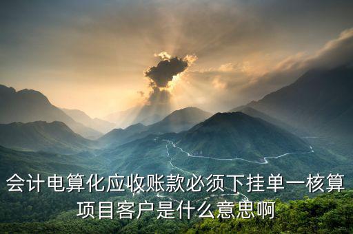 會計電算化應(yīng)收賬款必須下掛單一核算項(xiàng)目客戶是什么意思啊