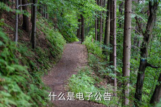 什么是電子公告，什么叫電子公告