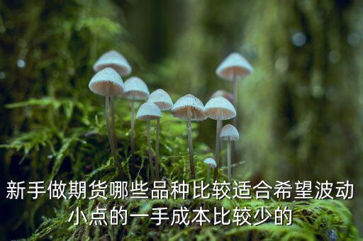 兩萬能做期貨什么品種，我用兩萬做商品期貨