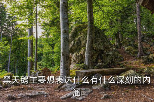 黑天鵝書說的是什么，黑天鵝主要想表達(dá)什么有什么深刻的內(nèi)涵