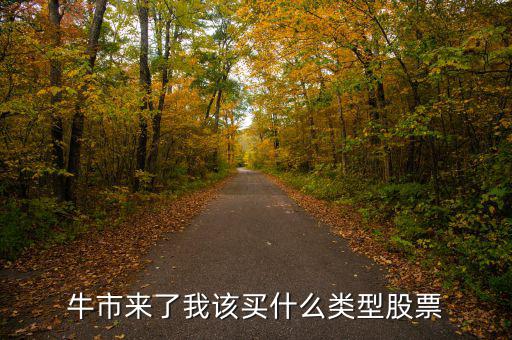 牛市來(lái)了我該買什么類型股票