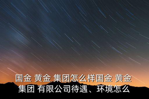 國(guó)金 黃金 集團(tuán)怎么樣國(guó)金 黃金 集團(tuán) 有限公司待遇、環(huán)境怎么