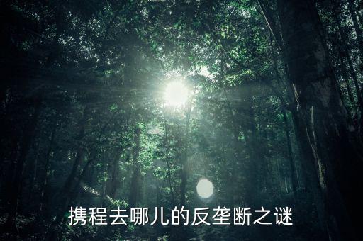 梁建章為什么離開攜程，攜程老板梁建章對(duì)公司的投訴難道只會(huì)說抱歉嗎這簡(jiǎn)直有死