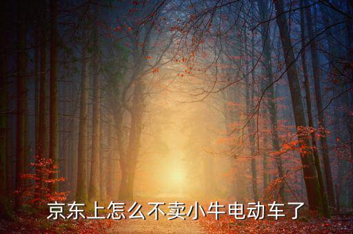 京東什么時候開放小牛，京東上怎么不賣小牛電動車了