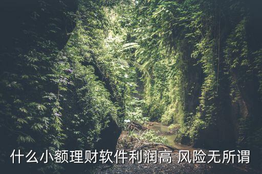 什么小額理財最安全，什么小額理財軟件利潤高 風險無所謂