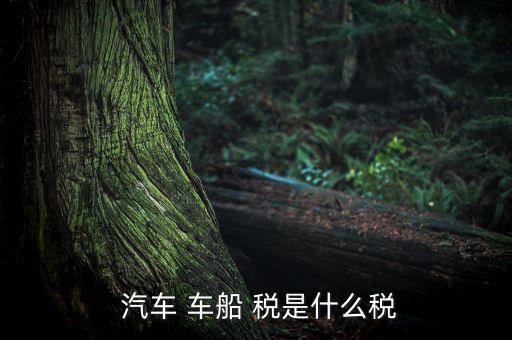 汽車車船稅是怎么樣,車船稅是對(duì)車輛、船舶征收的稅