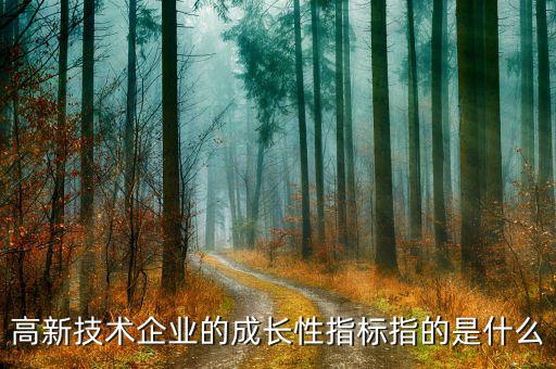公司成長性指標(biāo)用什么，請問反映企業(yè)價(jià)值和企業(yè)成長性的指標(biāo)有哪些