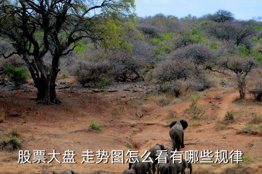 股票大盤(pán) 走勢(shì)圖怎么看有哪些規(guī)律