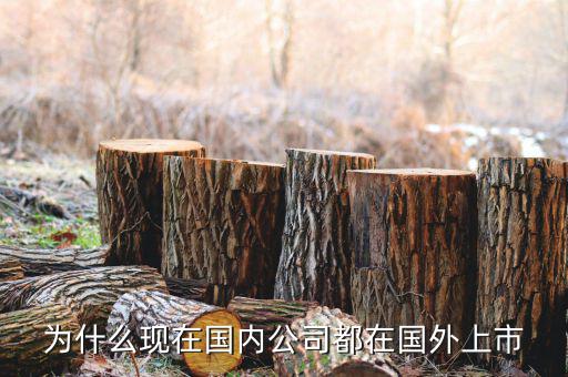 為什么現在國內公司都在國外上市