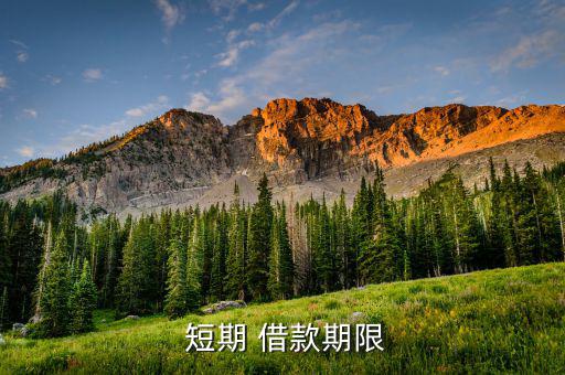 短期借款怎么分析,短期借款大幅增長說明公司現金流問題