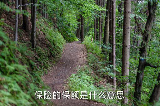 保險保額是什么意思，保險里的保額是啥意思