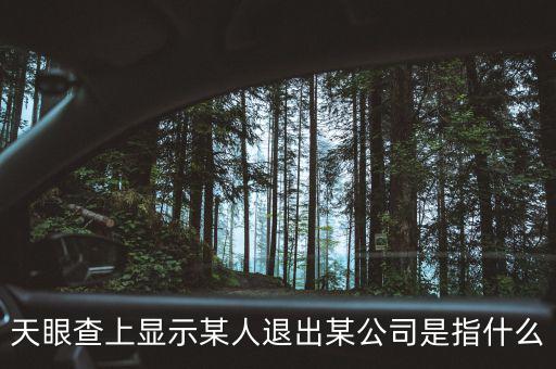 什么是退出類平臺公司，天眼查上顯示某人退出某公司是指什么