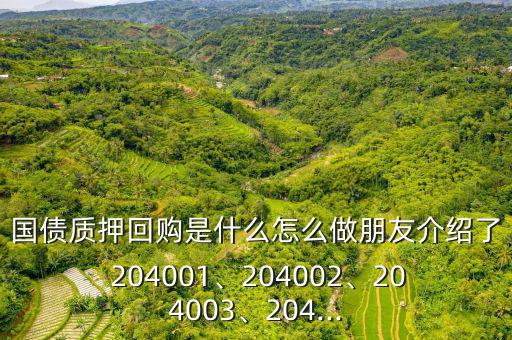 國(guó)債質(zhì)押回購(gòu)是什么怎么做朋友介紹了 204001、204002、204003、204...
