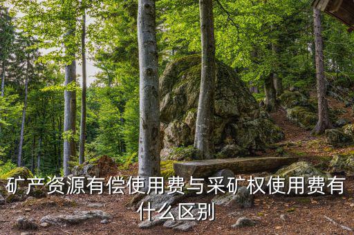 什么是采礦權(quán)價(jià)款資金占用費(fèi)，資金占用費(fèi)是怎么回事