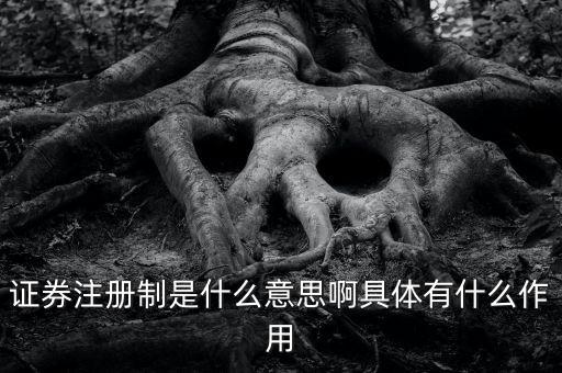 證券注冊制什么意思，證券注冊制是什么意思啊具體有什么作用