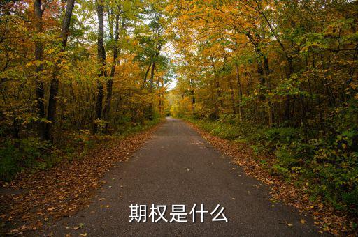 股票期權(quán)是什么，期權(quán)和股權(quán)有什么本質(zhì)區(qū)別嗎