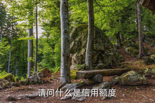 信用額度是什么意思，信用額度是什么意思