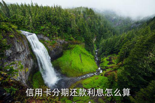 信用卡分期付款怎么計算,手續(xù)費(fèi)逐月計入持卡人e分期賬戶賬單