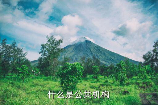 什么是公共部門實體，什么是公共機(jī)構(gòu)