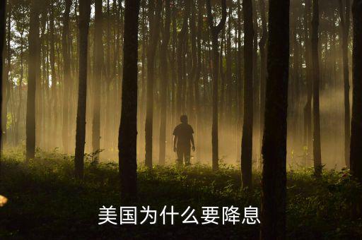 美國(guó)為什么要加息，美國(guó)為什么加息還會(huì)加息嗎