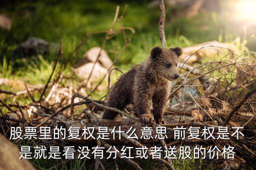 復(fù)權(quán)是什么意思，請(qǐng)教前復(fù)權(quán)和后復(fù)權(quán)是什么意思有什么不一樣