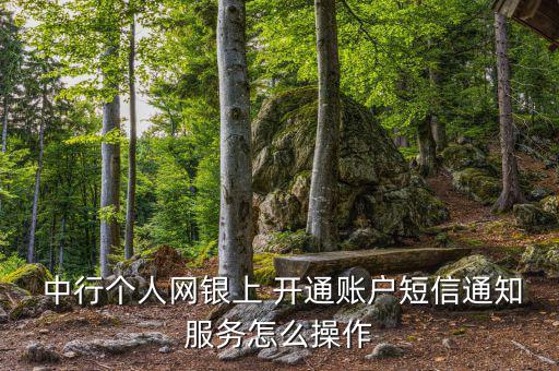 中行的公告應怎么開通,中行個人網銀開通賬戶短信通知開通