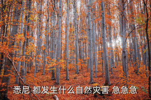 澳大利亞有什么自然災(zāi)害，澳大利亞最近的自然災(zāi)害