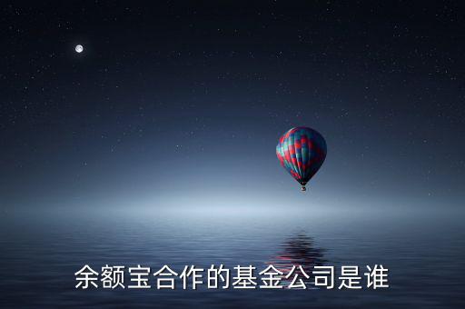 余額寶投資過什么公司，余額寶合作的基金公司是誰