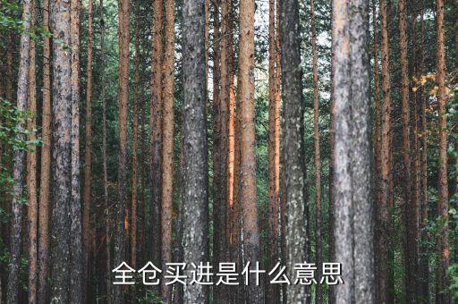 全倉(cāng)買入是什么意思，掛高全倉(cāng)買入什么意思