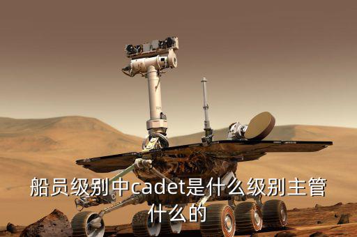 中船總經(jīng)理什么級別，中國船舶總公司總經(jīng)理啥級別