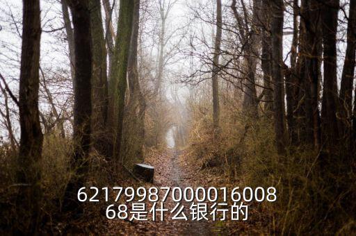 中債資信屬于什么銀行，6217998700001600868是什么銀行的