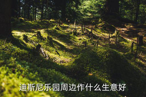 迪斯尼周邊做什么賺錢，迪斯尼樂(lè)園周邊作什么生意好