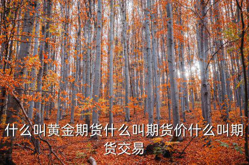 什么是期貨價，什么叫黃金期貨什么叫期貨價什么叫期貨交易