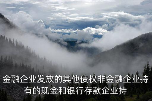 金融企業(yè)發(fā)放的其他債權非金融企業(yè)持有的現金和銀行存款企業(yè)持