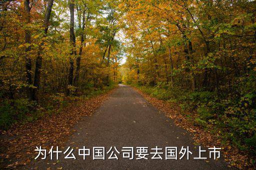 中國企業(yè)為什么要在境外上市，為什么有公司要到境外上市