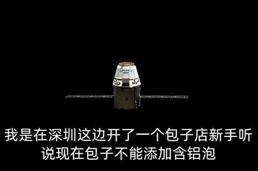 包子禁止添加什么，我是在深圳這邊開了一個包子店新手聽說現(xiàn)在包子不能添加含鋁泡
