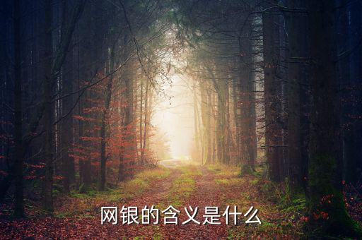 網(wǎng)銀存入代表什么意思，網(wǎng)銀的含義是什么