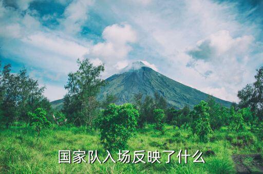 國(guó)家隊(duì)進(jìn)場(chǎng)是什么意思，國(guó)家隊(duì)入場(chǎng)反映了什么