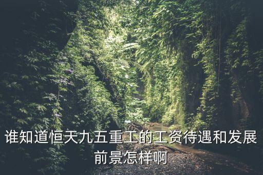 恒天九五什么時(shí)候上市，誰知道恒天九五重工的工資待遇和發(fā)展前景怎樣啊