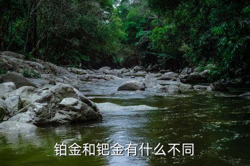 鉑金跟鈀金有什么區(qū)別，鈀金和鉑金有什么區(qū)別