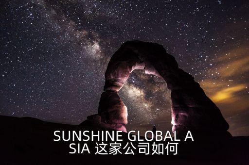 永信亞洲有限公司主要業(yè)務(wù)是什么，SUNSHINE GLOBAL ASIA 這家公司如何
