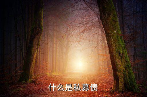 什么是小貸公司私募債，什么是私募債