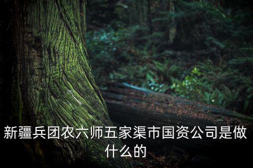 新疆兵團(tuán)農(nóng)六師五家渠市國(guó)資公司是做什么的