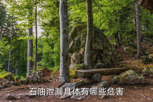 原油泄漏影響什么部門，石油泄漏具體有哪些危害