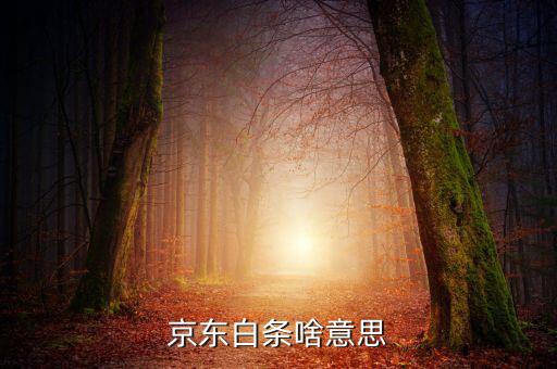 京東白條是什么，京東白條啥意思